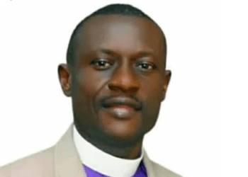 Latest killing of two compatriots in South Africa senseless, unacceptable: Nigerian Union