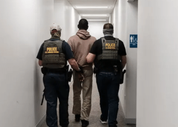Alleged Nigerian visa fraudster, thief caught at our Houston office: USCIS
