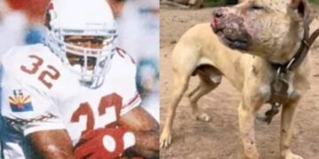 Ex-NFL player LeShon Johnson jailed over dog-fighting operation U.S