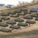 Several killed, others injured in explosion at Canadian military base
