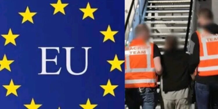 Ireland considers EU-Nigeria migration deal to return undocumented migrants