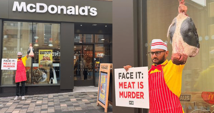 Animal rights activists storm MacDonald’s, protest against killing of cows for burgers