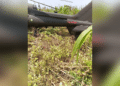 Ondo Crash: NAF helicopter makes precautionary landing in Benue
