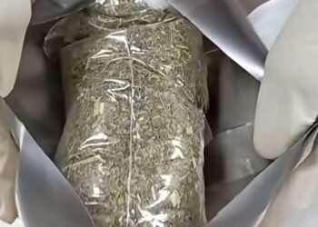 Commercial bus driver escapes jail over drug concealed in energy drink as waybill package