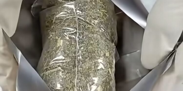 Commercial bus driver escapes jail over drug concealed in energy drink as waybill package
