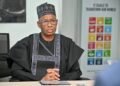 Nigerian envoy tells UN, demands African-led solutions