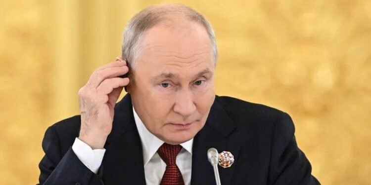 Putin says Russia to continue playing role of ‘responsible’ supplier of grain to Africa