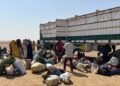 Insecurity displaces 2,800 people in single day in Sudan’s Blue Nile: UN migration agency