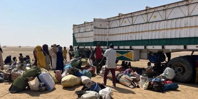 Insecurity displaces 2,800 people in single day in Sudan’s Blue Nile: UN migration agency