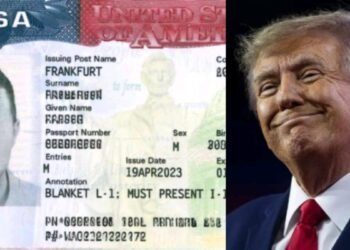 Trump govt proposes $70,000 fee for Nigerians, other foreign students seeking to work in U.S.