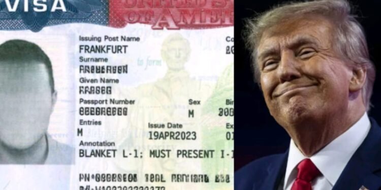 Trump govt proposes $70,000 fee for Nigerians, other foreign students seeking to work in U.S.