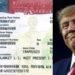 Trump govt proposes $70,000 fee for Nigerians, other foreign students seeking to work in U.S.