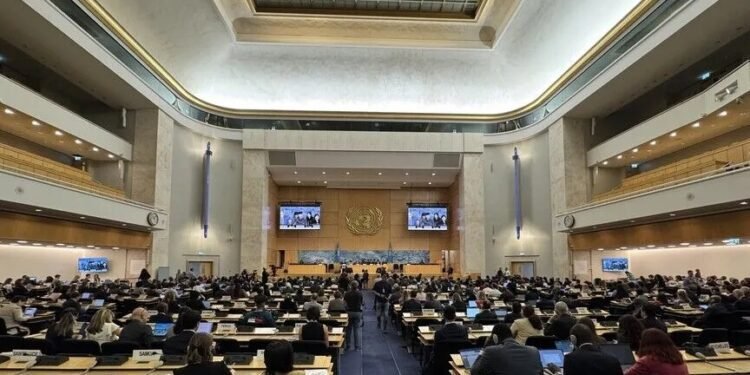 Nigeria elected to UN Human Rights Council seat