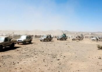 Yemeni forces seize Dhubab, strategic sites near Bab el-Mandeb, army says